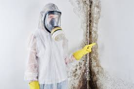 Best Commercial Mold Inspection in Harvey, IL